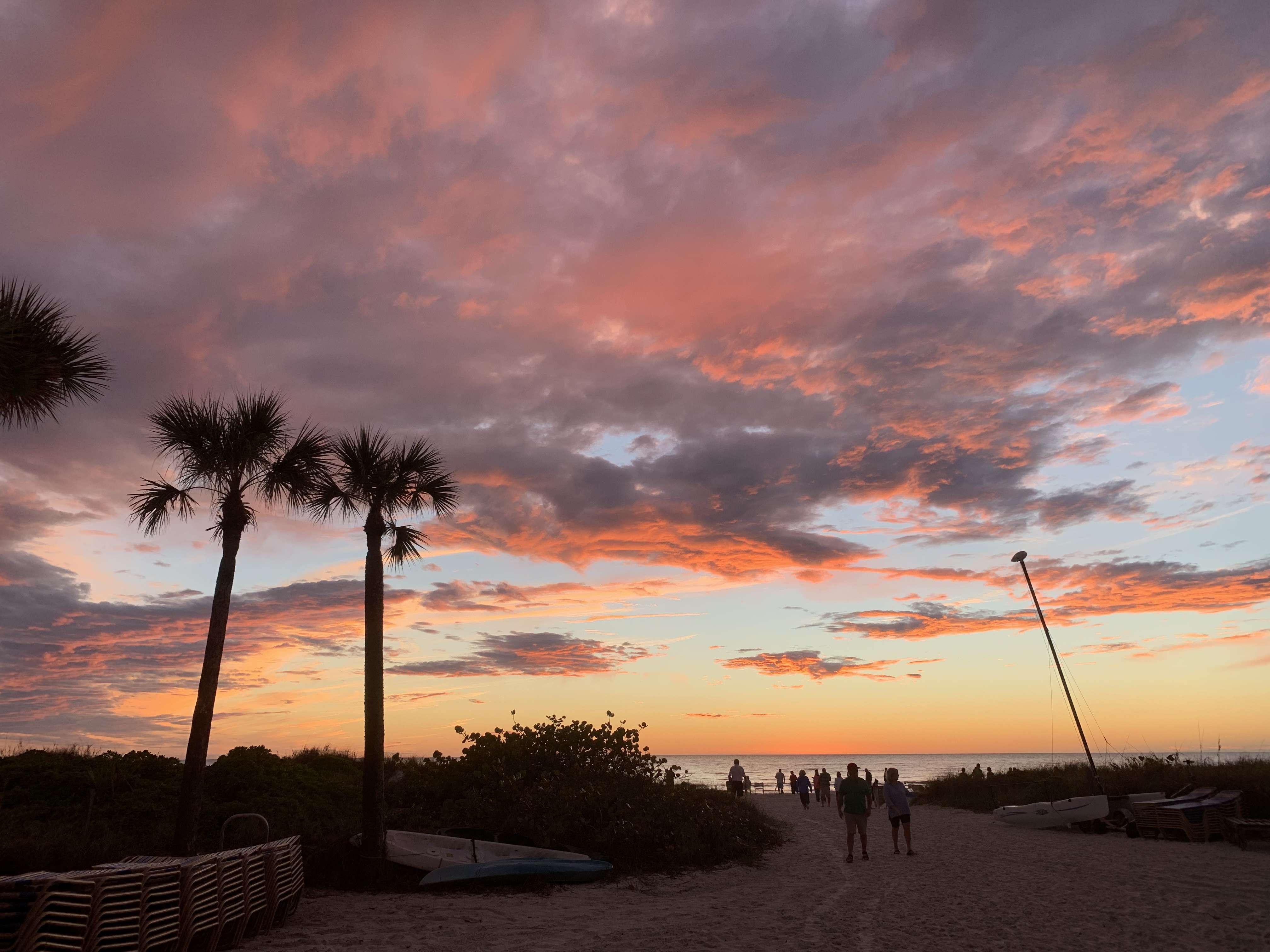 Siesta Key sunset with palms